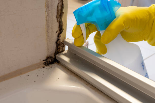 Crawl Space Mold Removal in Chenoweth, OR