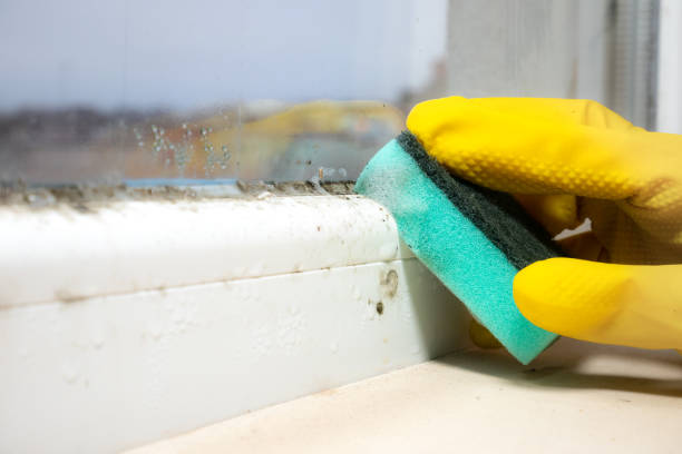 Best Crawl Space Mold Removal  in Chenoweth, OR